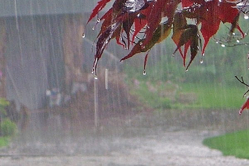 بارش باران های پراکنده در نواحی شرقی و شمالی کشور