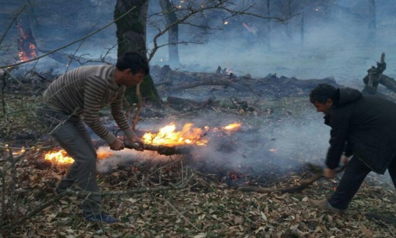 آتش سوزی در جنگل های 2 هزار تنکابن