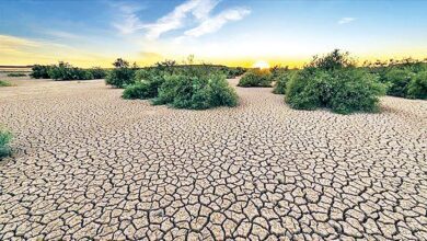 دمای زمین سال آینده بیشتر می شود
