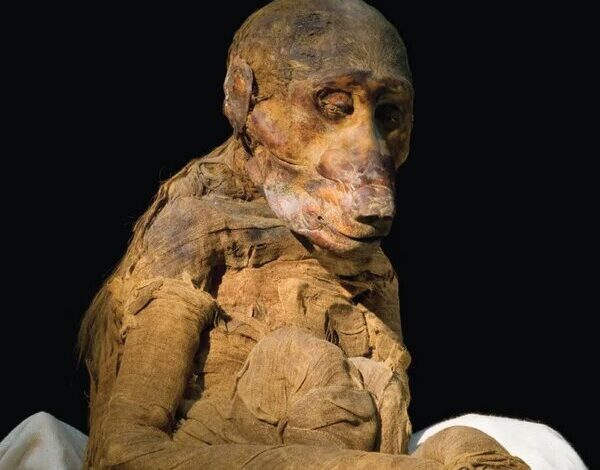 مومیایی های عجیب در مصر باستان