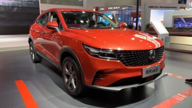 قیمت جدید انواع دیگنیتی اعلام شد