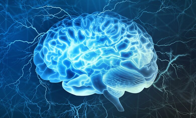 مردن یک اتفاق لحظه ای نیست بلکه فرایندی است که تا حدودی قابل برگشت است