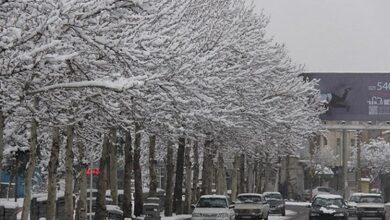 زمستان بالاخره آغاز می‌شود؟