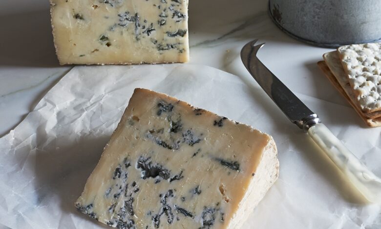 مصرف پنیرهای کپک زده بی خطر است؟