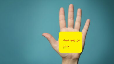 مغز افراد چپ دست با افراد راست دست متفاوت است؟