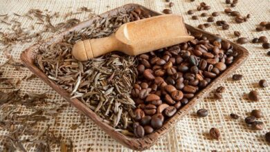 برای تقویت و سلامت مغز چه می خورید؟