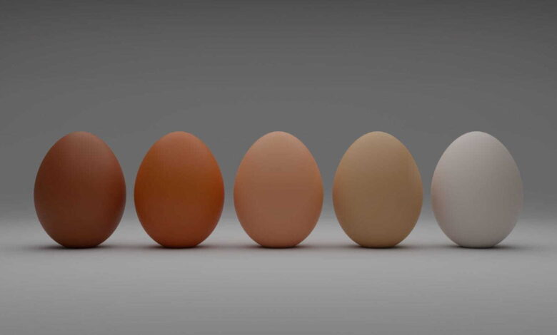 تخم مرغ را باید شست؟