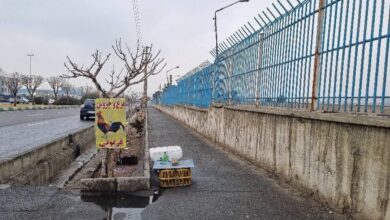 بیمه خون مالی خودروها