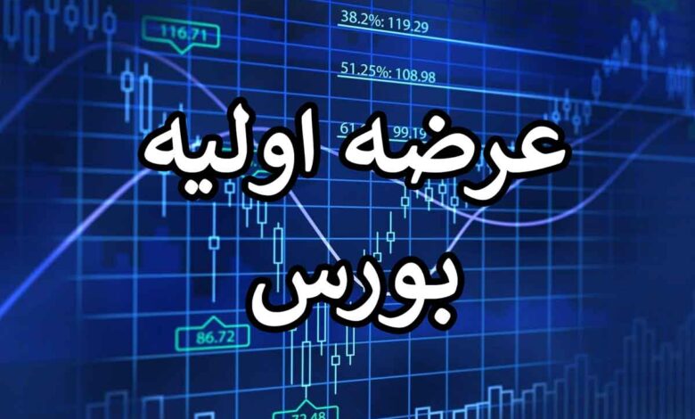 سهام این شرکت در فرابورس عرضه اولیه دارد+جزئیات