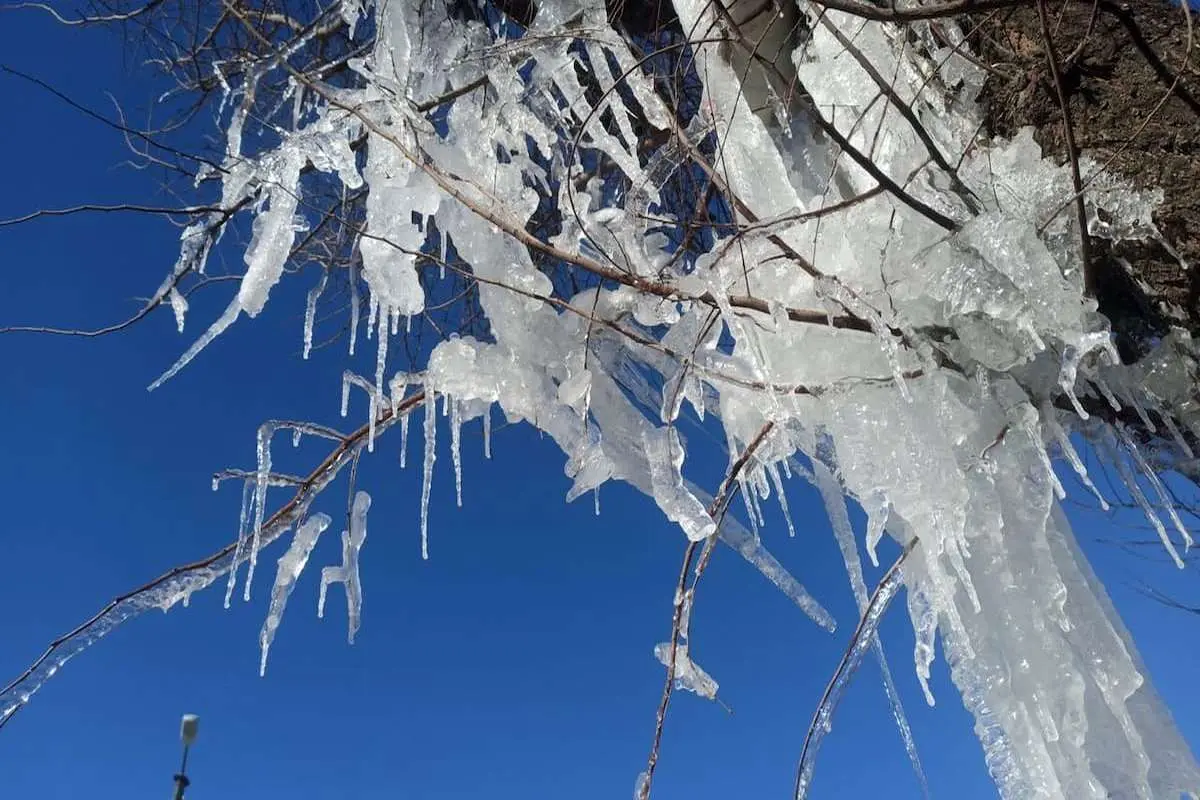 سردترین شب 6 ماه اخیر امشب است