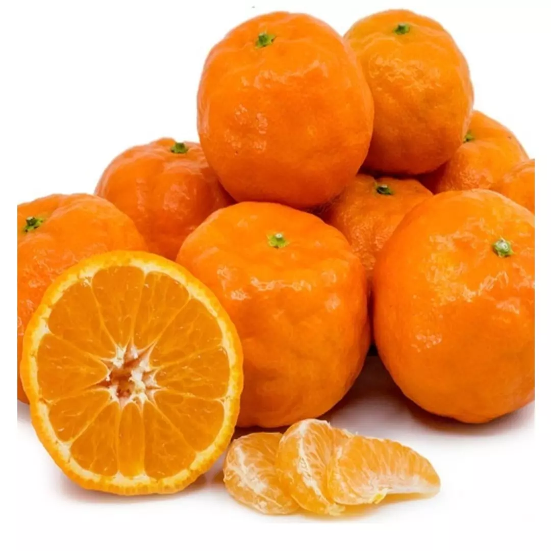 خواص بی‌نظیر نارنگی یافا در پیشگیری از بیماری‌ها