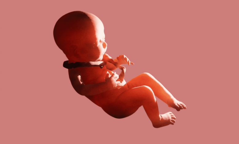 پیچیدن بندناف دور گردن جنین خطرناک است؟