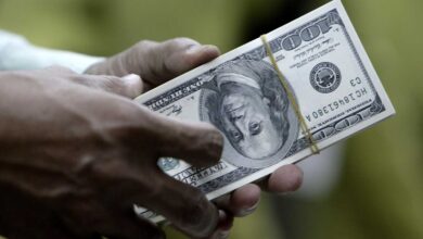 ثبات قیمت دلار تا پایان سال در همین محدوده قیمتی