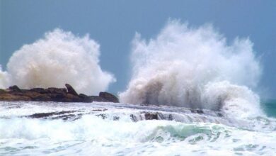 هشدار سطح زرد هواشناسی برای این استان‌های ساحلی