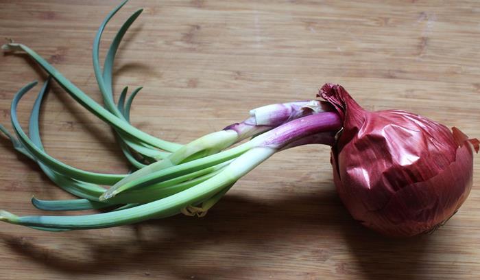 جوانه های پیاز خوردنی هستند؟