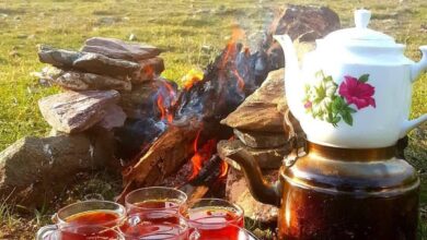 چای با طعم عالی از میکروب!