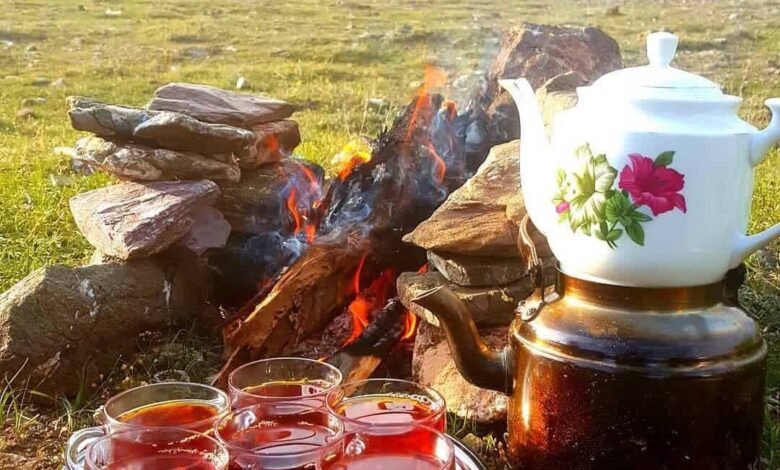 چای با طعم عالی از میکروب!