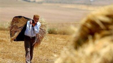 عیدی مستمری بگیران صندوق اجتماعی واریز شد