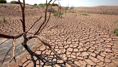 گسترش بحران کم آبی در بیش از نیمی از کشور