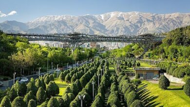 دومین پل طبیعت تهران در این بزرگراه احداث می‌شود