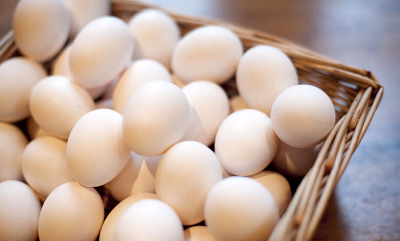 رتبه نهم برای تولید تخم مرغ