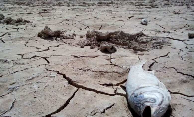 خشکسالی در کشور تا چه زمانی ادامه دارد؟