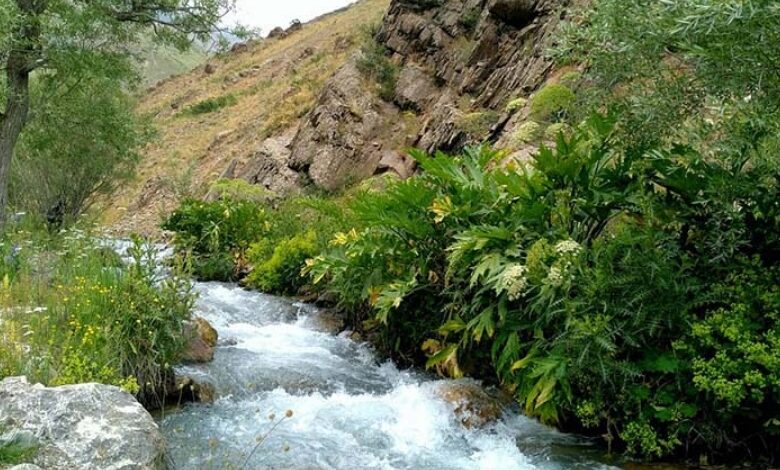 اتراق در کنار رودخانه‌ها ممنوع شد