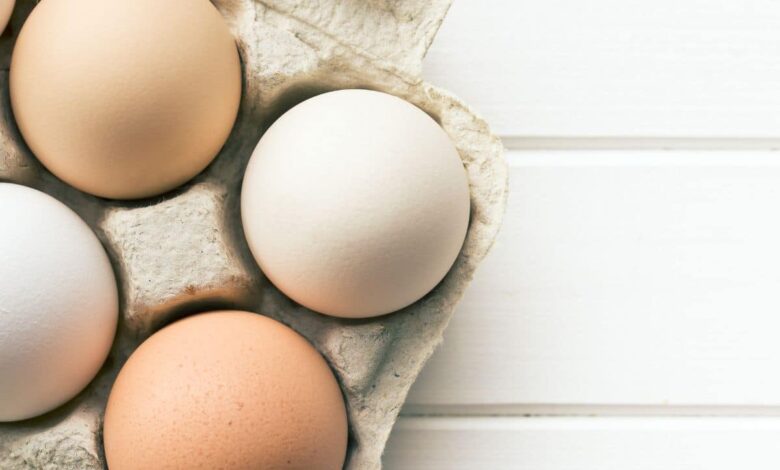 قیمت تخم مرغ در بازار کاهش خواهد یافت