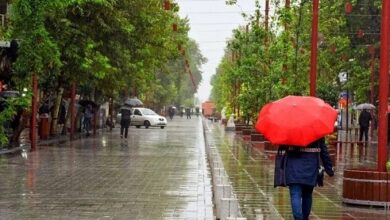 هواشناسی ۲۲ فروردین؛ بارش باران و کاهش دما در این استان‌ها