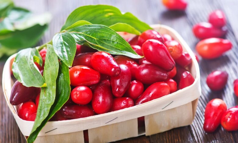 با خواص شگفت انگیز زغال اخته آشنا شوید