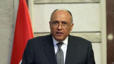 سامح شکری وارد تهران شد