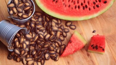 فایده تخم هندوانه برای سلامت استخوان ها