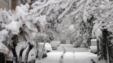 سیبری برف و سرما