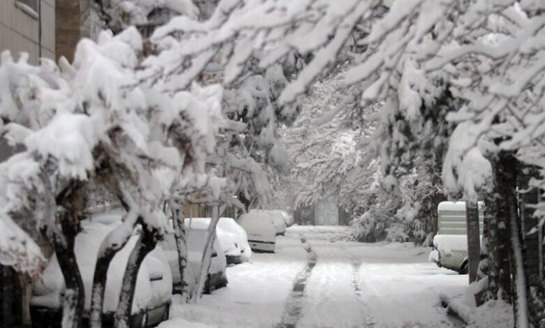 سیبری برف و سرما