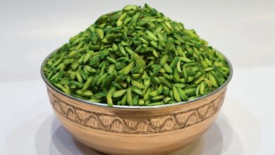 خلال باقلا بجای پسته