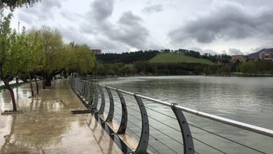 بارش باران