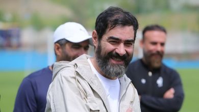 شهاب حسینی