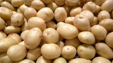 قیمت لوبیا چیتی و سیب‌زمینی