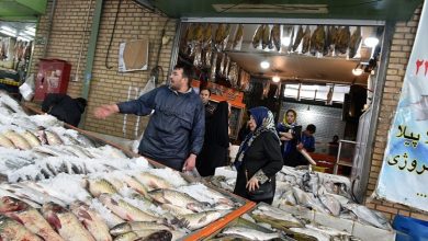 قیمت ماهی
