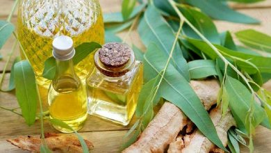 روغن اکالیپتوس