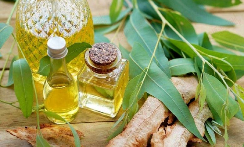 روغن اکالیپتوس