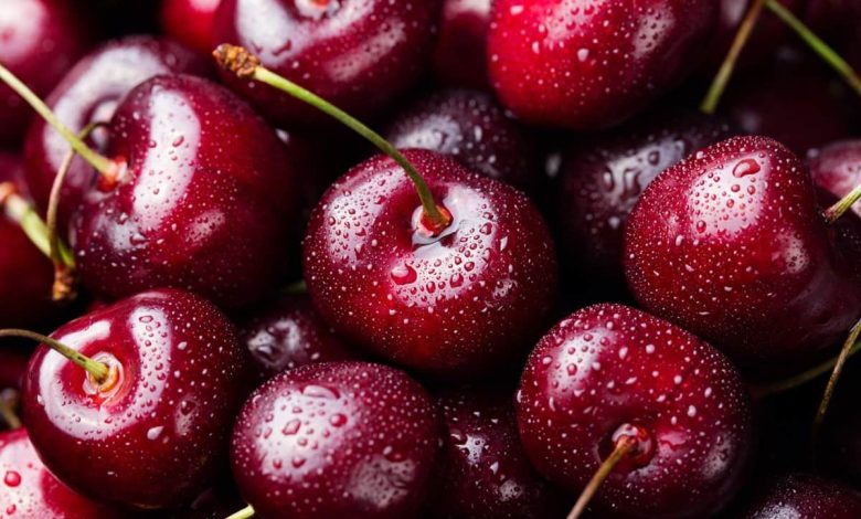 قیمت گیلاس