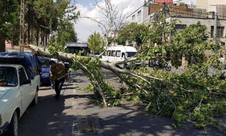هواشناسی تهران وزش باد شدید