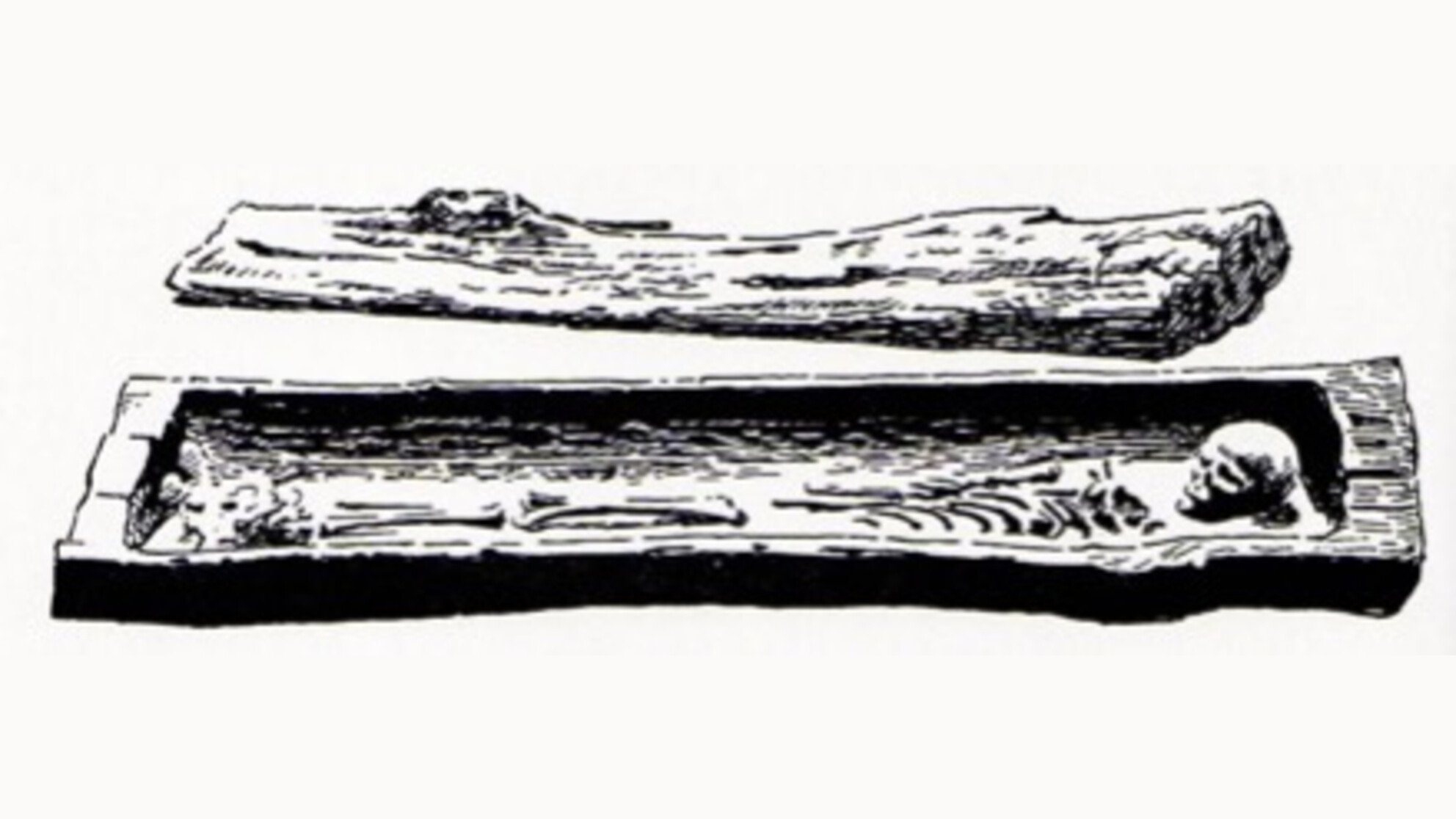 an illustration of a log coffin with a human skeleton inside