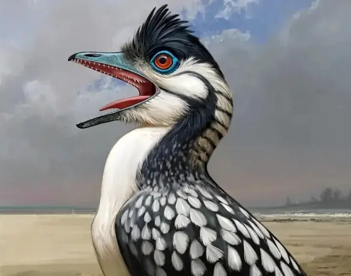 آرکئوپتریکس؛ پرنده‌ای که ۱۵۰ میلیون سال قبل زندگی می‌کرد | عکس