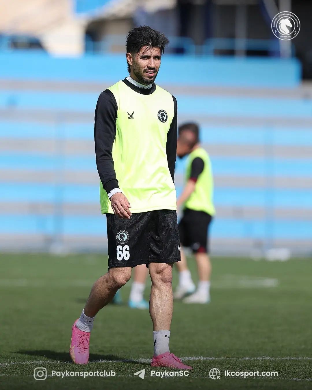 آچارفرانسه در دسترس سعید دقیقی