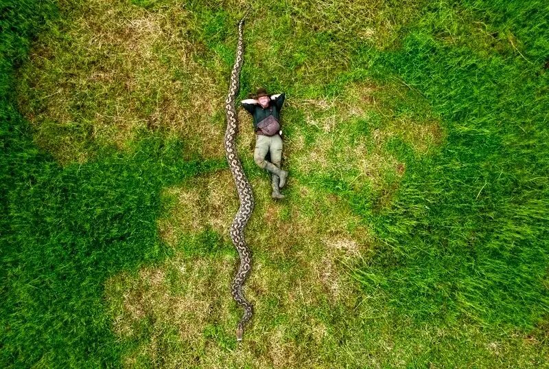 بارونس؛ درازترین مار وحشی جهان | عکس