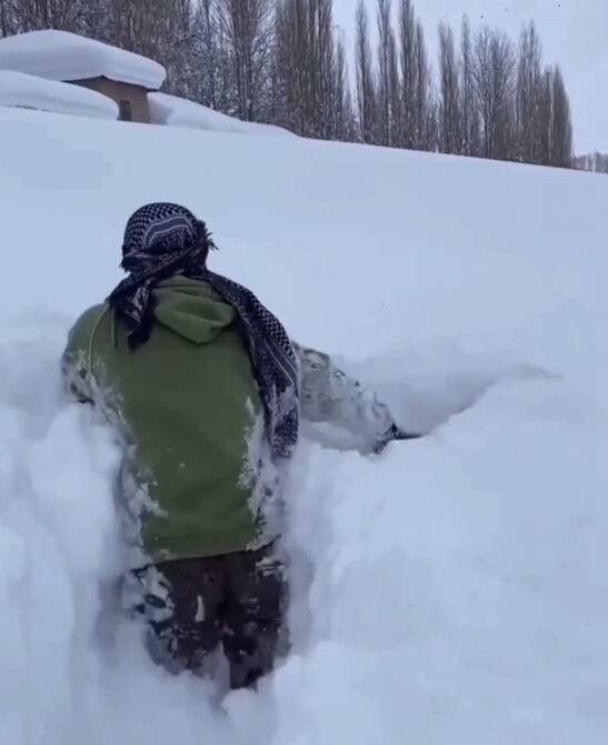 برفی که خاطره‌ ها را زنده کرد + عکس و فیلم