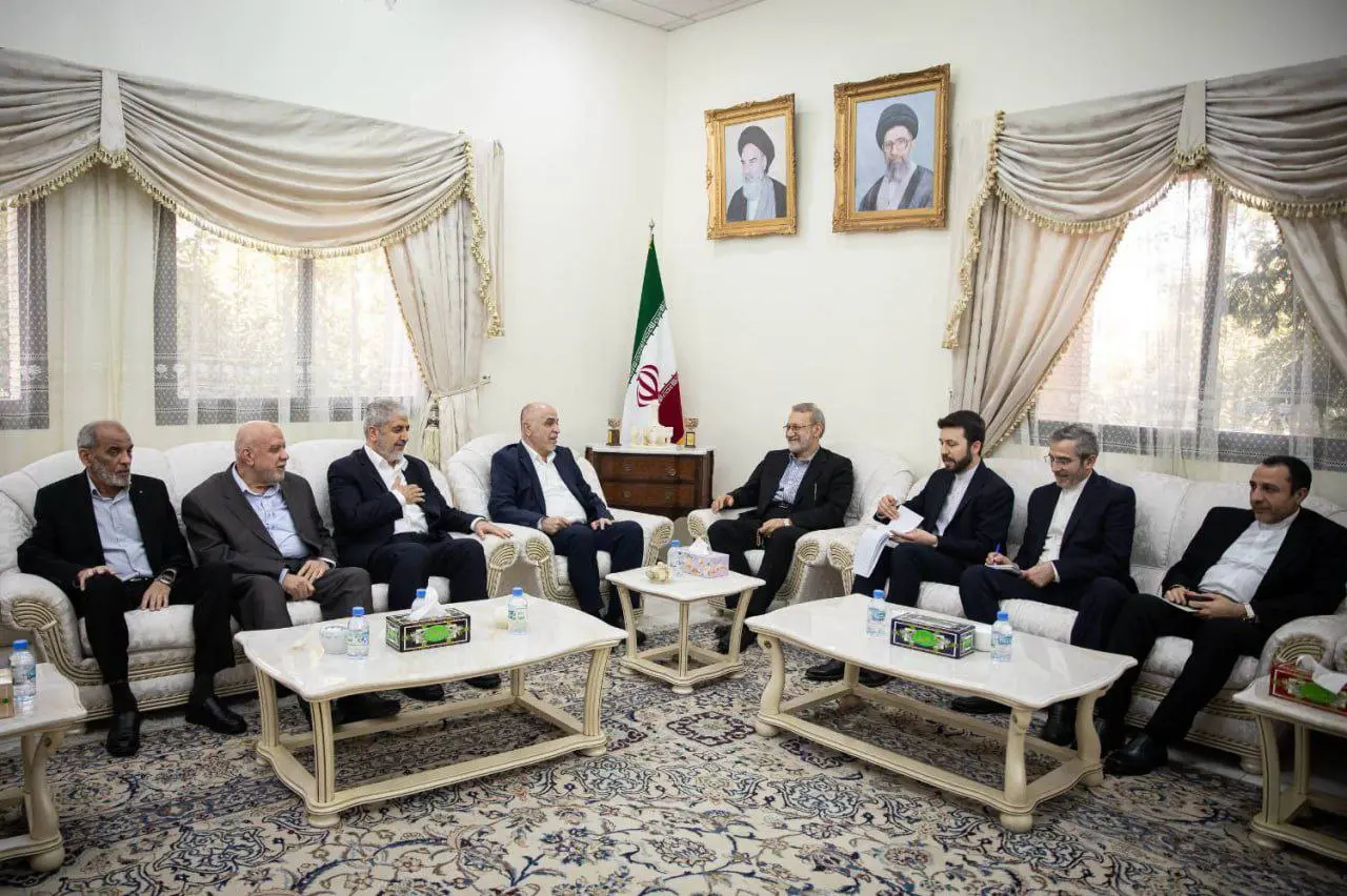 photo_2026-02-11_18-17-06