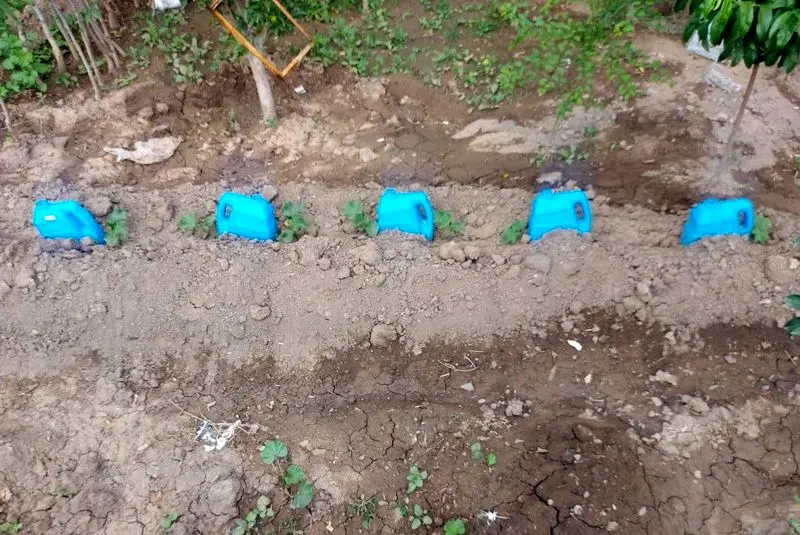 خلاقیت در آبیاری